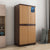 Nilkamal Freedom Mini Medium (FMM) Plastic Cabinet (Sandy & Dark Brown)