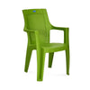 Nilkamal Mystique Plastic Arm Chair