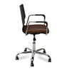 Nilkamal Zing with Arm Office Chair (Brown)