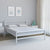 Nilkamal Striker Metal Queen Bed (White)