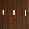 Nilkamal Joyce 4 Door Wardrobe (Classic Walnut)