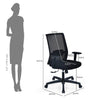 Nilkamal Compass Mid Back Mesh Office Chair