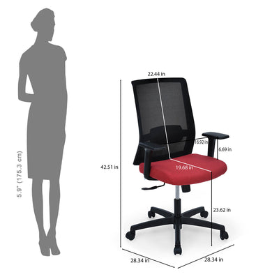 Nilkamal Compass Mid Back Mesh Office Chair