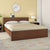 Nilkamal Arthur Plus King Bed (Legno Oak Dark)