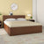 Nilkamal Arthur Plus King Bed With Storage (Legno Oak Dark)