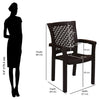 Nilkamal Tulip Plastic Arm Chair