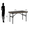 Nilkamal Feast 4 ft Blow Foldable Rectangle Table (Brown)