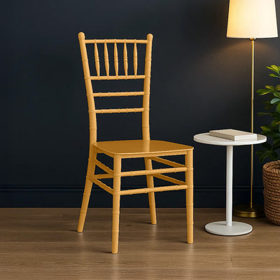 Nilkamal Bliss Plastic Chair