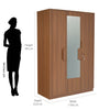 Nilkamal Calipso 3 Door Wardrobe With Mirror (Classic Plank Walnut)