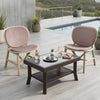 Nilkamal Arena Cushioned Chairs and Glass Top Coffee Table Plastic Outdoor Set (Luxury Beige/Light Beige & Weather Brown)