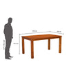 Nilkamal Cera 6 Seater Solid Wood Dining Table (Honey Brown)