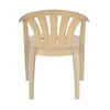 Nilkamal CHR2005 Plastic Arm Chair (Marble Beige) - Back View