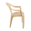 Nilkamal CHR2061 Plastic Arm Chair Side View 2