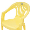 Nilkamal CHR2101 Plastic Arm Chair