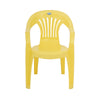 Nilkamal CHR2101 Plastic Arm Chair