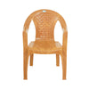 Nilkamal CHR2107 Plastic Arm Chair