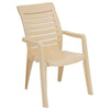 Nilkamal CHR2180 Plastic Arm Chair Marble Beige - Slight Side View-2