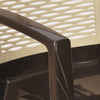 Nilkamal CHR2226 Plastic Arm Chair (Season Rust Brown & Biscuit) - Close Up View