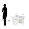 Nilkamal Arena Chairs and Crystal Glass Top Coffee Table Plastic Outdoor Set (Milky White)