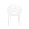 Nilkamal Crystal Plastic Outdoor Set with 2 Chairs and 1 Table (Milky White)