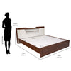Nilkamal Hawk Calipso Queen Bed Without Storage (Classic Plank Walnut/White) - Size In Centimeter