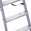 Nilkamal Rise 6 Step Steel Ladder (Grey)
