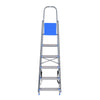 Nilkamal Rise 6 Step Steel Ladder (Grey)