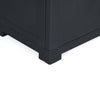 Nilkamal Freedom Large (FML) Plastic Storage Cabinet (Charcoal Grey) - Corner Closeup View