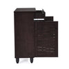 Nilkamal Kaira 2 Door Shoe Rack with Drawer (Wenge)