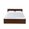 Nilkamal Arthur Plus Queen Bed (Legno Oak Dark)