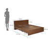 Nilkamal Arthur Plus Queen Bed (Legno Oak Dark)