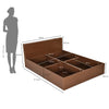 Nilkamal Arthur Plus Queen Bed With Storage (Legno Oak Dark)
