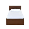 Nilkamal Arthur Plus Single Bed (Legno Oak Dark)