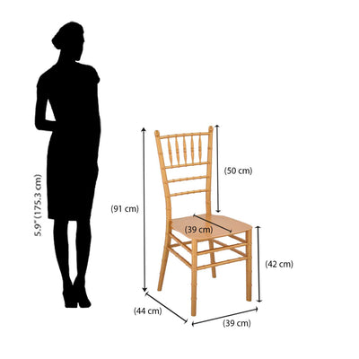 Nilkamal Bliss Plastic Chair