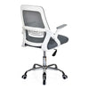 Nilkamal Vergo Mid Back Office Chair