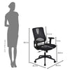 Nilkamal Enrich Mid Back Office Chair (Black)