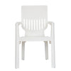 Nilkamal Ortho Comfort Plastic Arm Chair