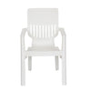 Nilkamal Ortho Comfort Plastic Arm Chair