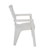 Nilkamal Ortho Comfort Plastic Arm Chair