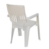 Nilkamal Ortho Comfort Plastic Arm Chair