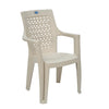 Nilkamal Elevate Plastic Arm Chair
