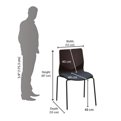 Nilkamal Elsa Dining Chair (Grey)