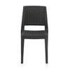Nilkamal Enamora Plastic Armless Chair (Iron Black) - Front View