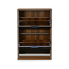 Nilkamal Florine Engineered Wood 2 Tier Shoe Cabinet (Walnut & Wenge)