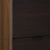 Nilkamal Florine 3 Tier Engineered Wood Shoe Cabinet (Walnut & Wenge)