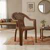 Nilkamal Forest Plastic Arm Chair