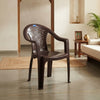 Nilkamal Forest Plastic Arm Chair