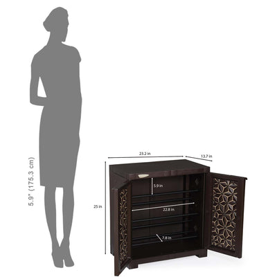 Nilkamal Freedom Star (FMSC09STR) Plastic Shoe Cabinet (Weather Brown & Biscuit)