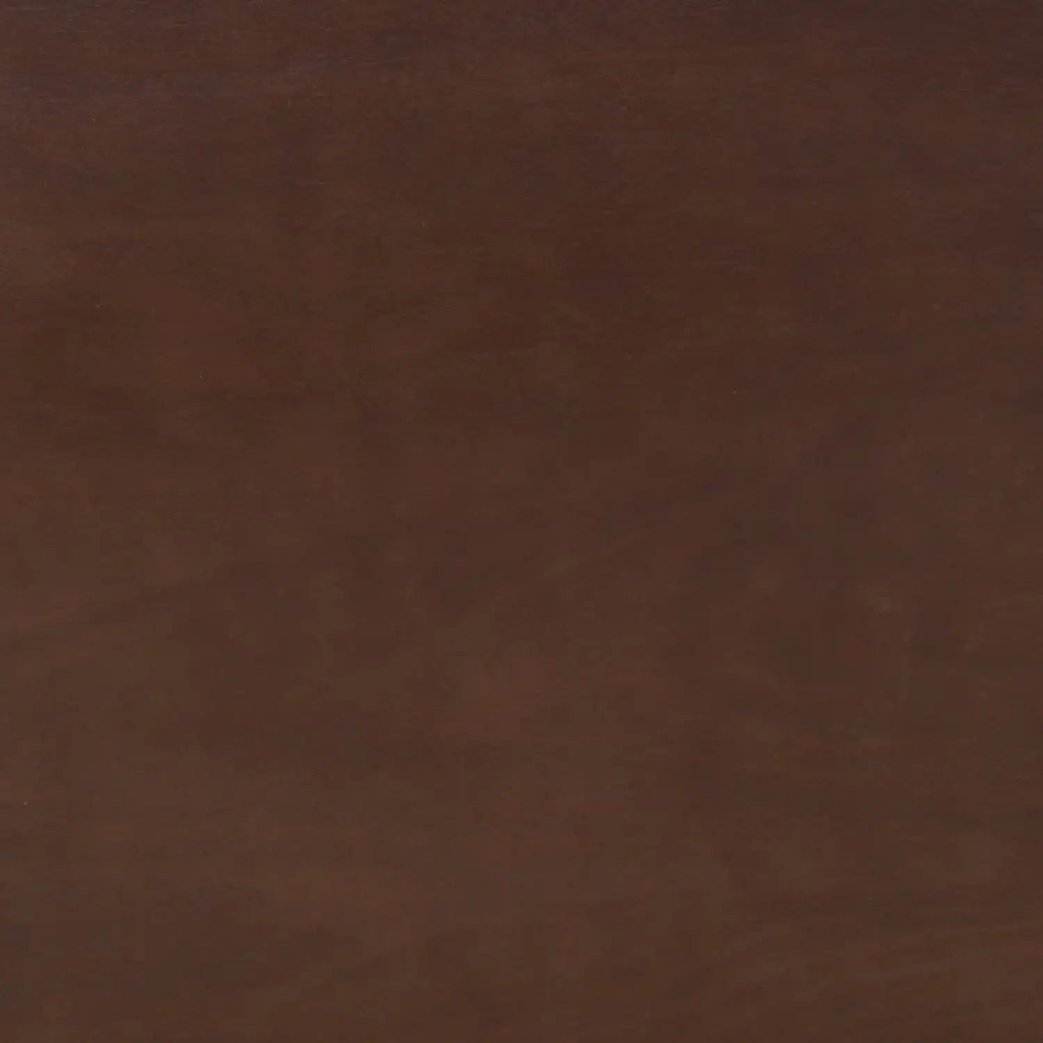 Nilkamal Gem 4 Seater Dining Set With Bench (Cappuccino)