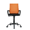 Nilkamal Giza Mid Back Office Chair